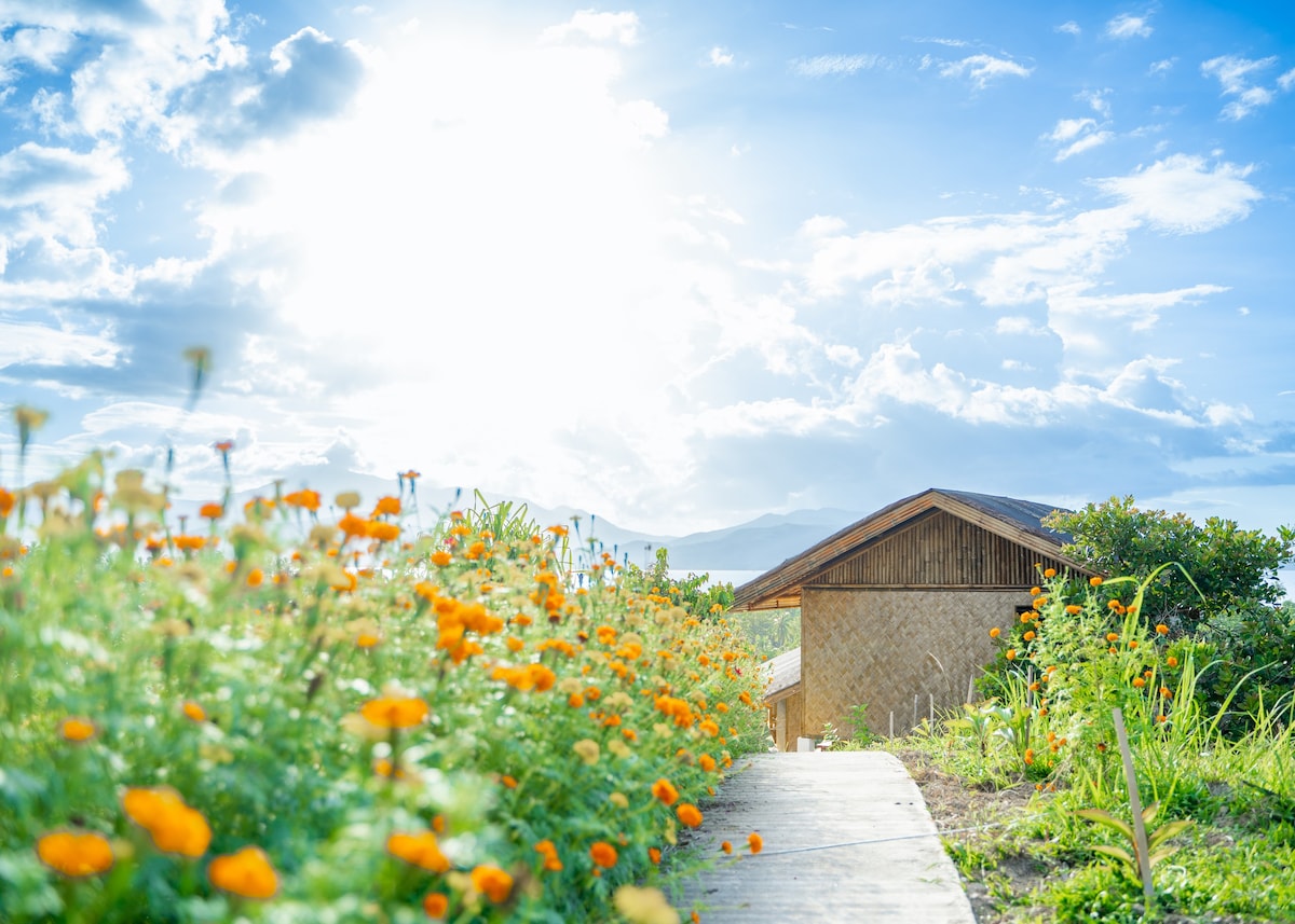 生态小屋中的海景大型乡村小屋