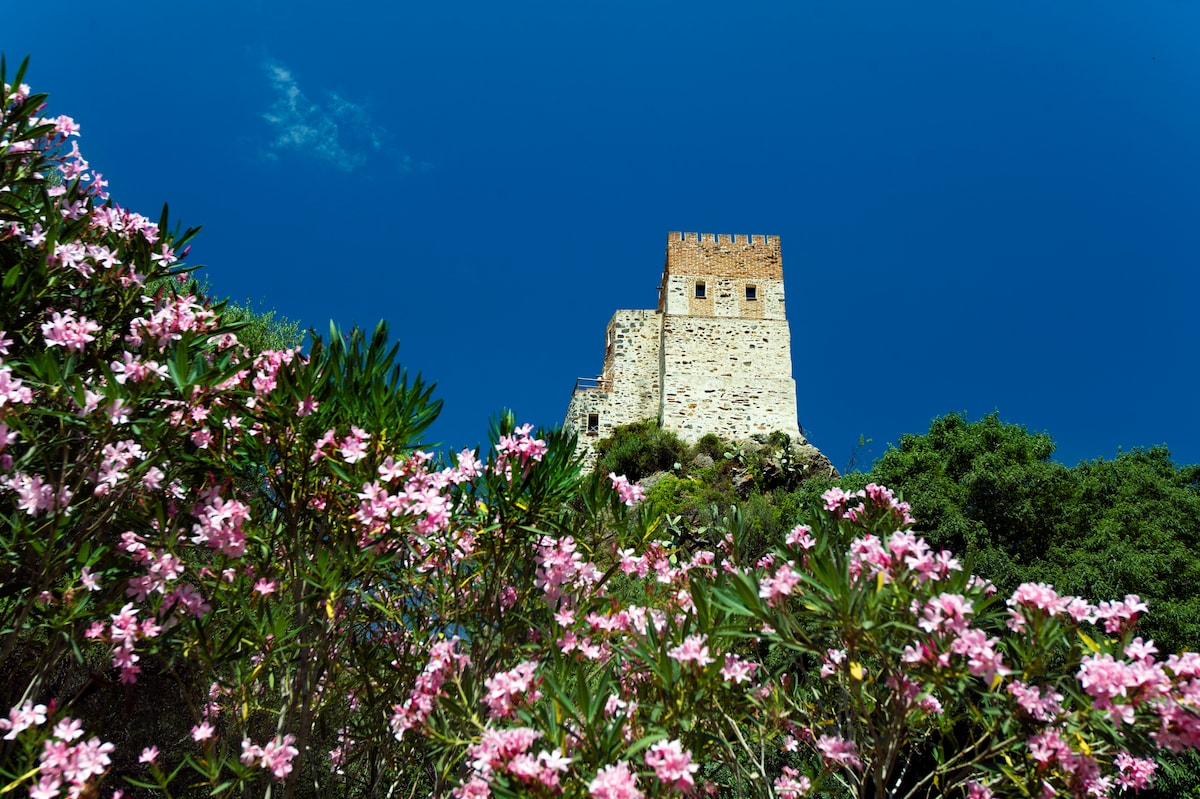 Castello Malicas Torre双人房