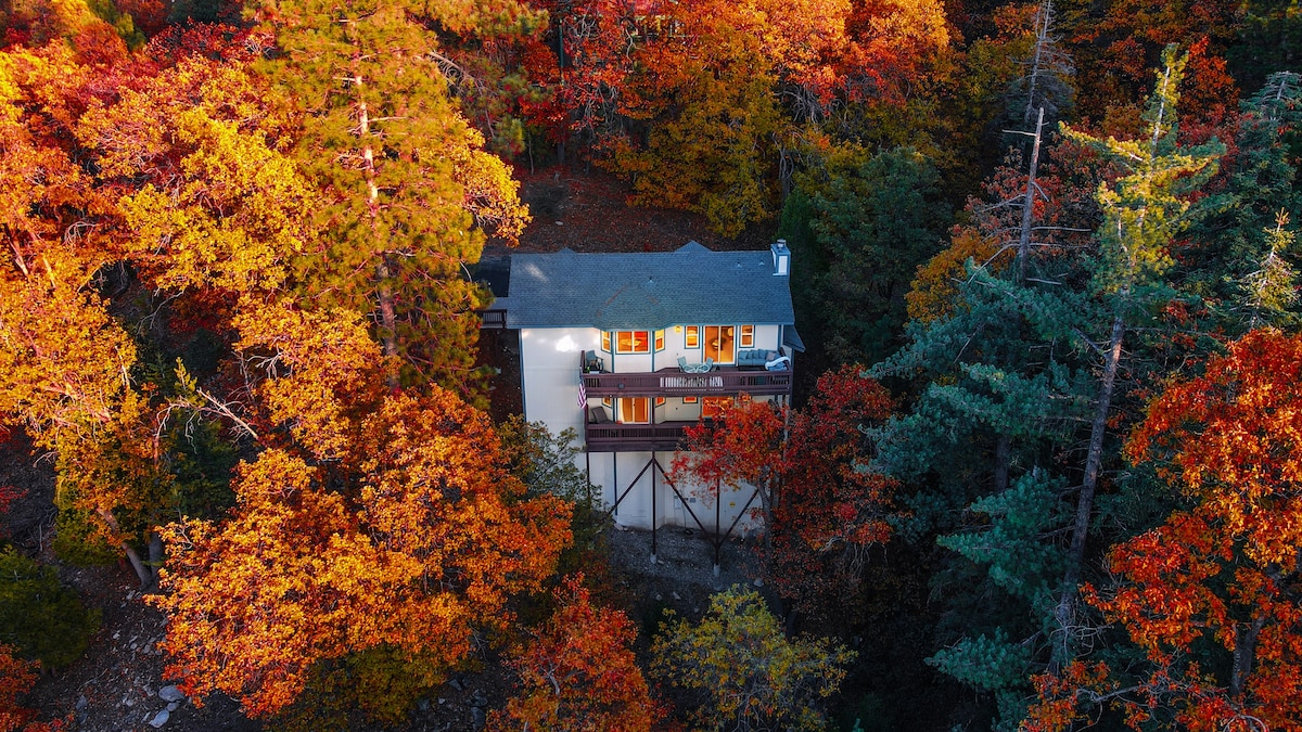 Secluded Forest Getaway w/ Views @moonbirdcabin