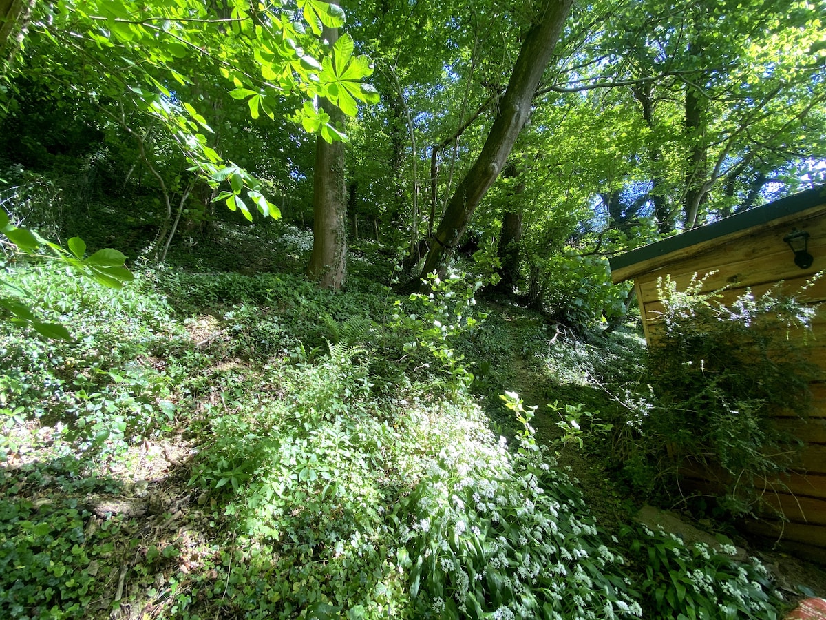 Woodland Tree Cabin with Views