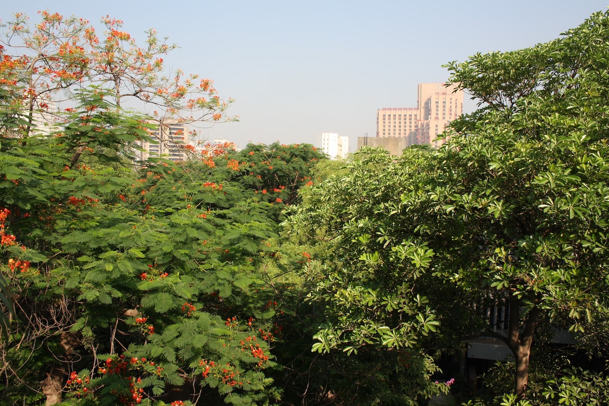 Luxury and Homely: Best views: Heart of New Delhi