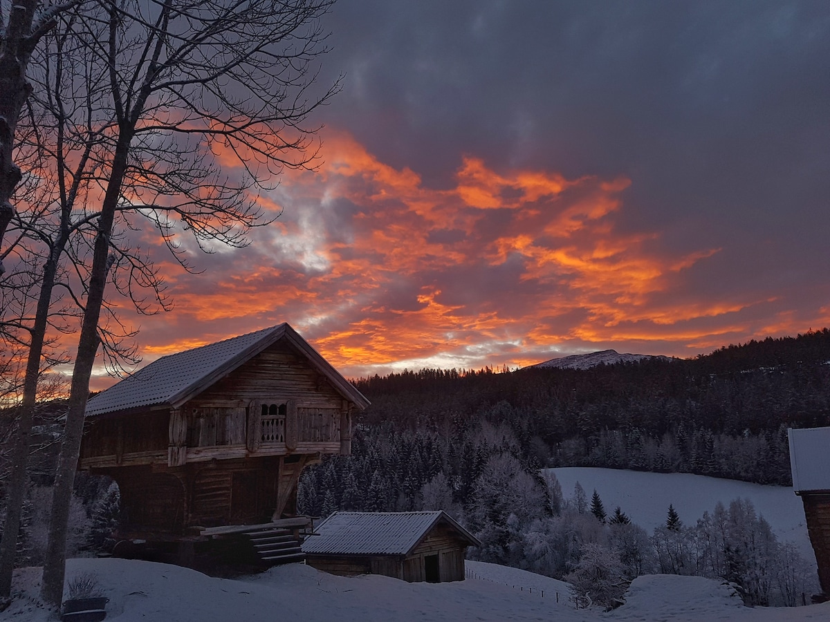 Velkommen til unike Bergen gård i Telemark.