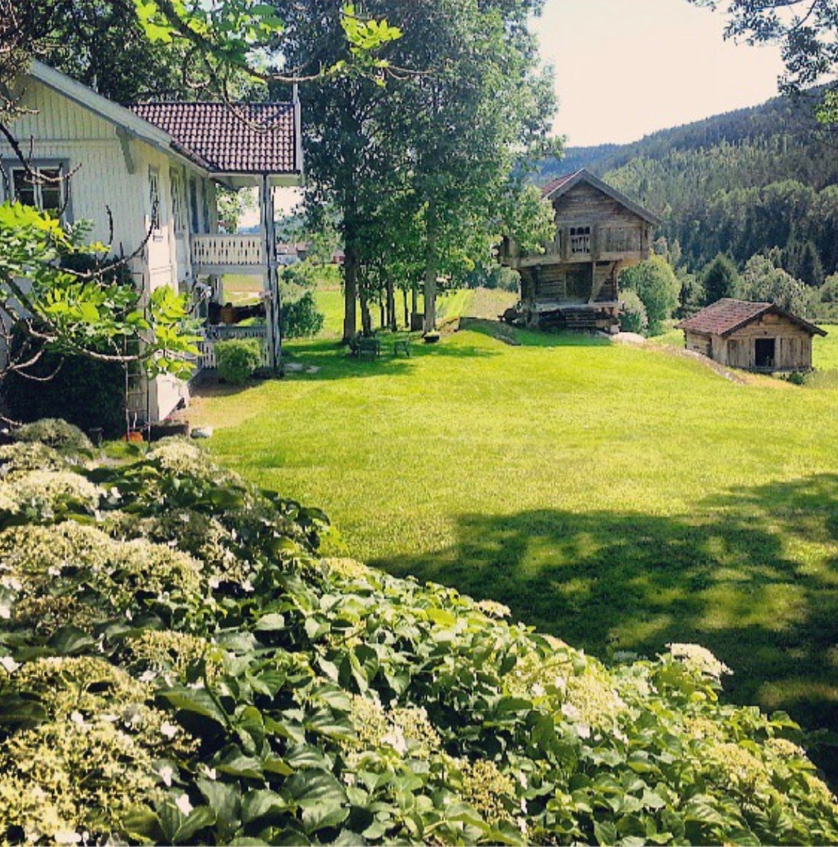 Velkommen til unike Bergen gård i Telemark.
