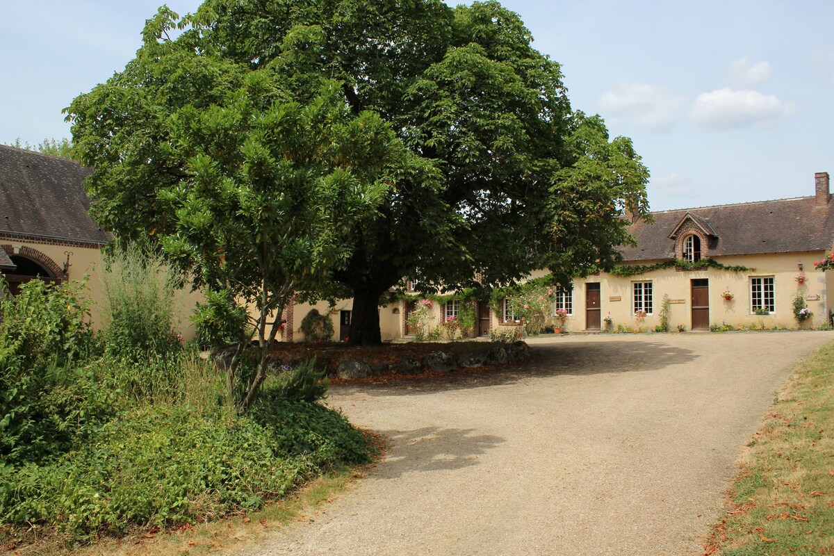 Gîtes des Étangs de Beaulieu - Family Estate