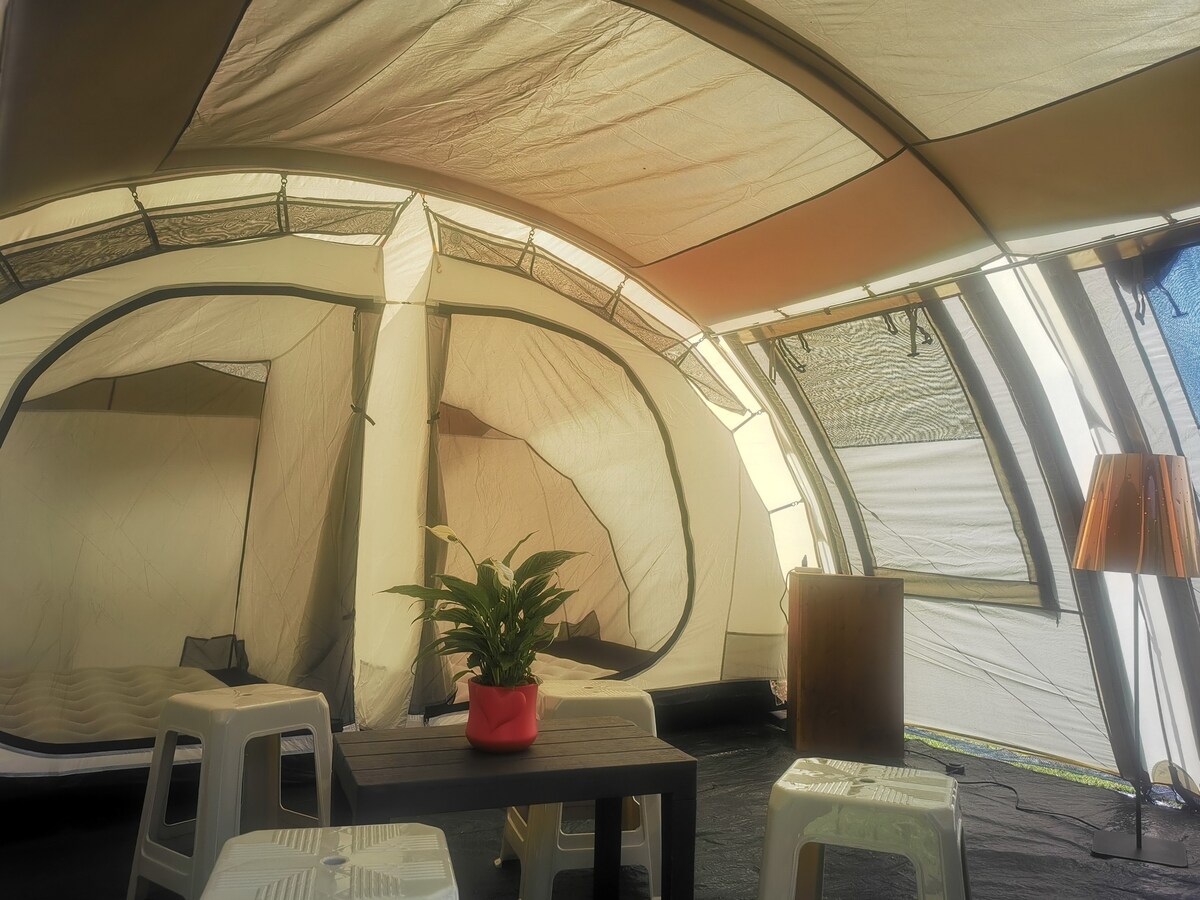 完全沉浸在大自然中的「房间」：舒适的露营地