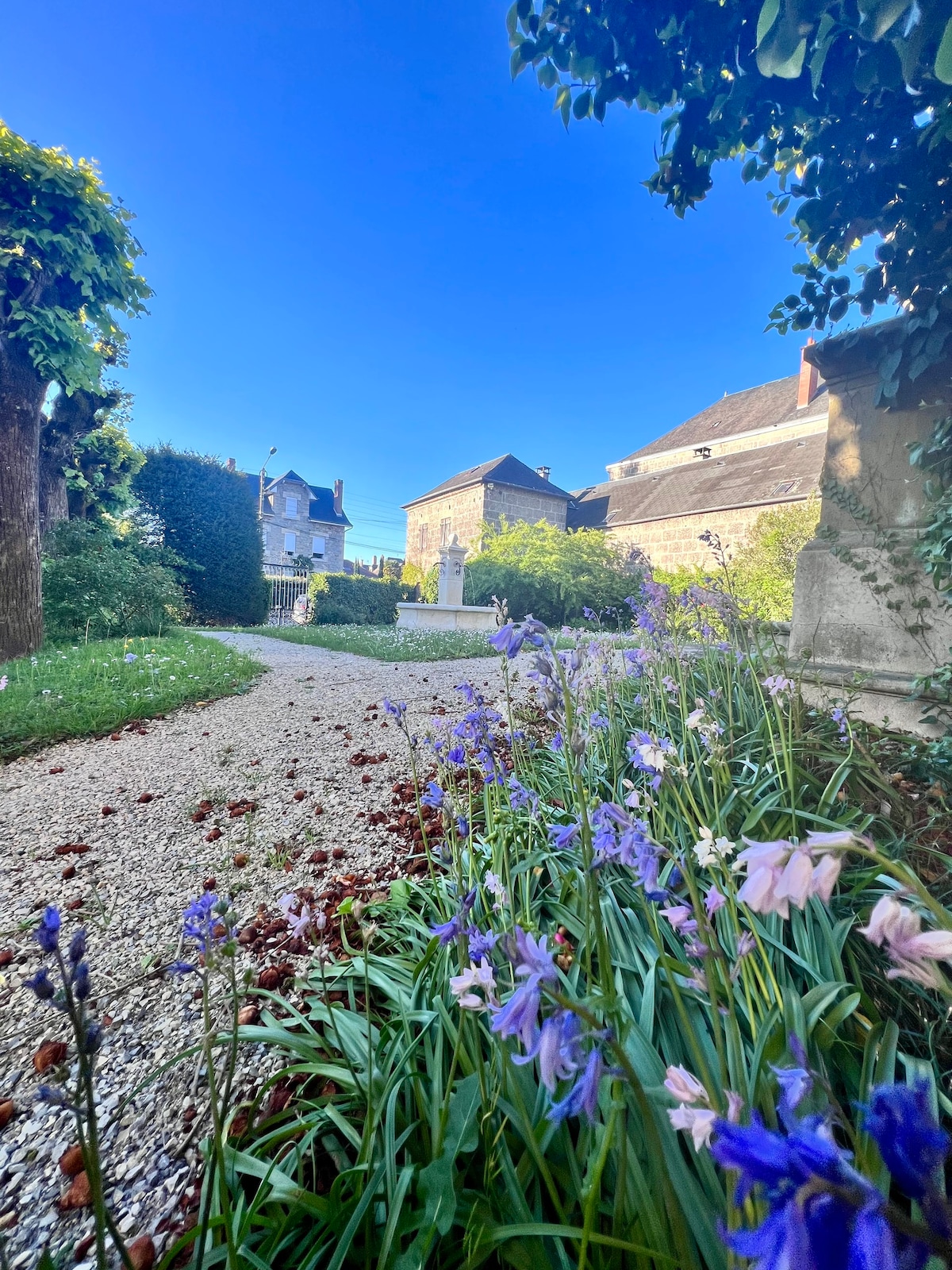 Suite Zelcova - Hôtel particulier - Piscine ext.