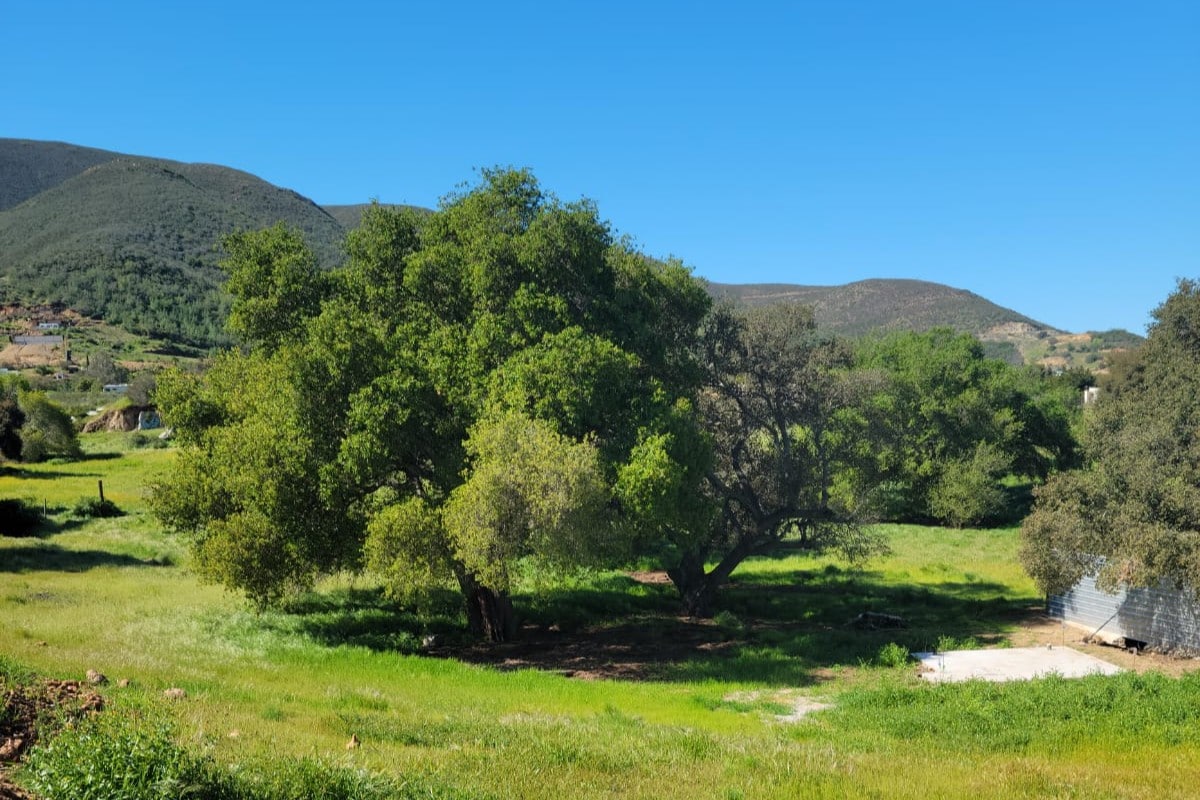 Walk to Wineries - Private and Gated Property