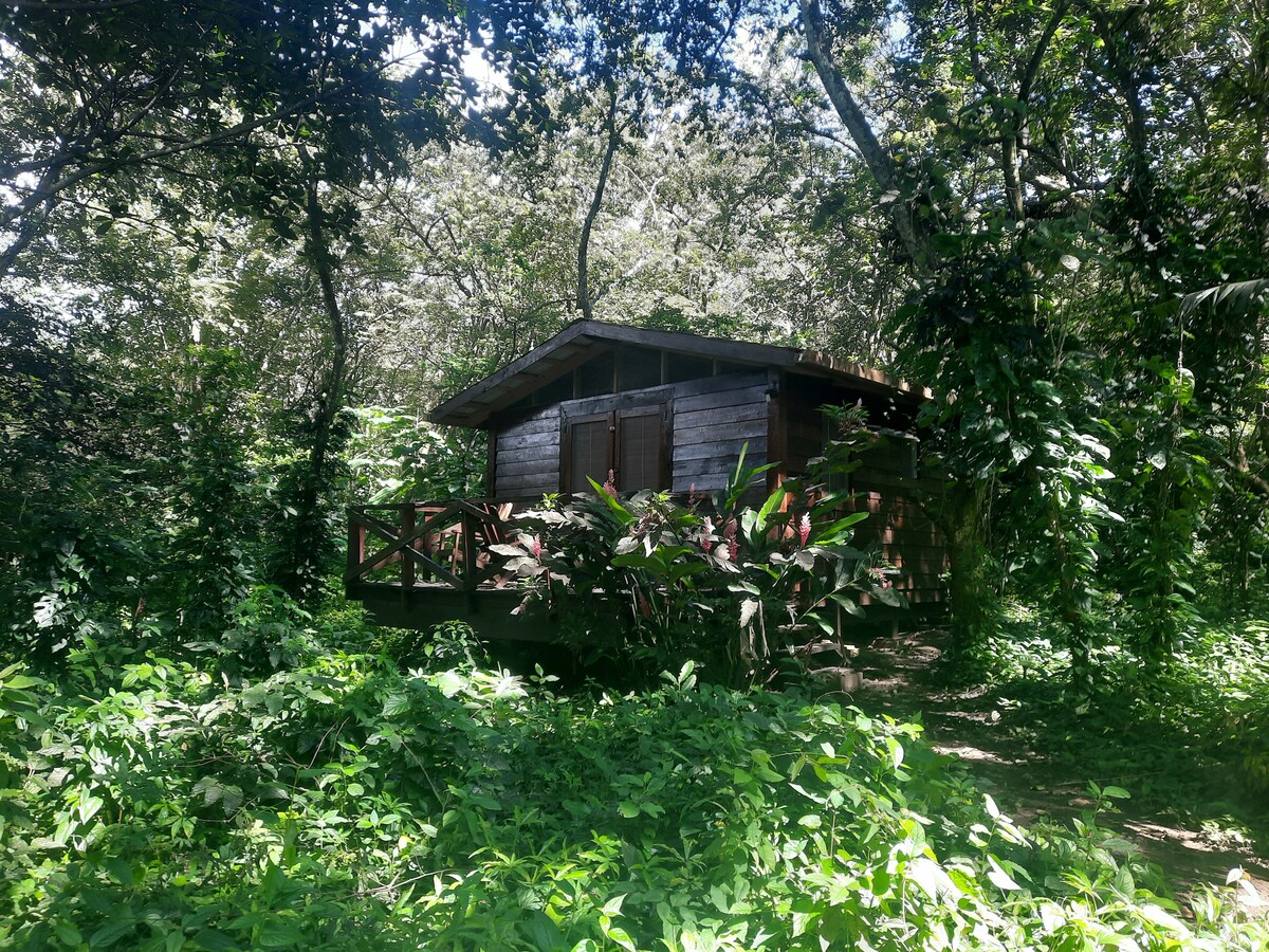 Ecolodge Mombacho小屋