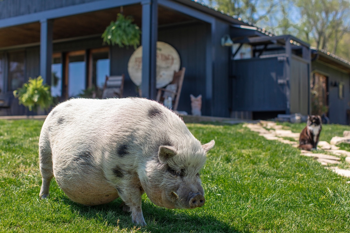 Charming Guesthouse with a Pig
