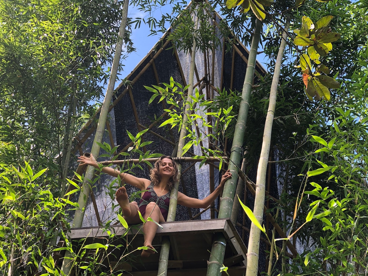 Living Bamboo Tree House