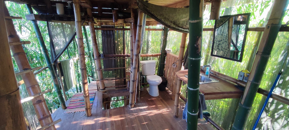 Living Bamboo Tree House