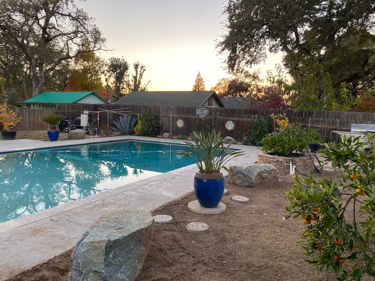 Garden Cottage House with huge yard, pool/jacuzzi!