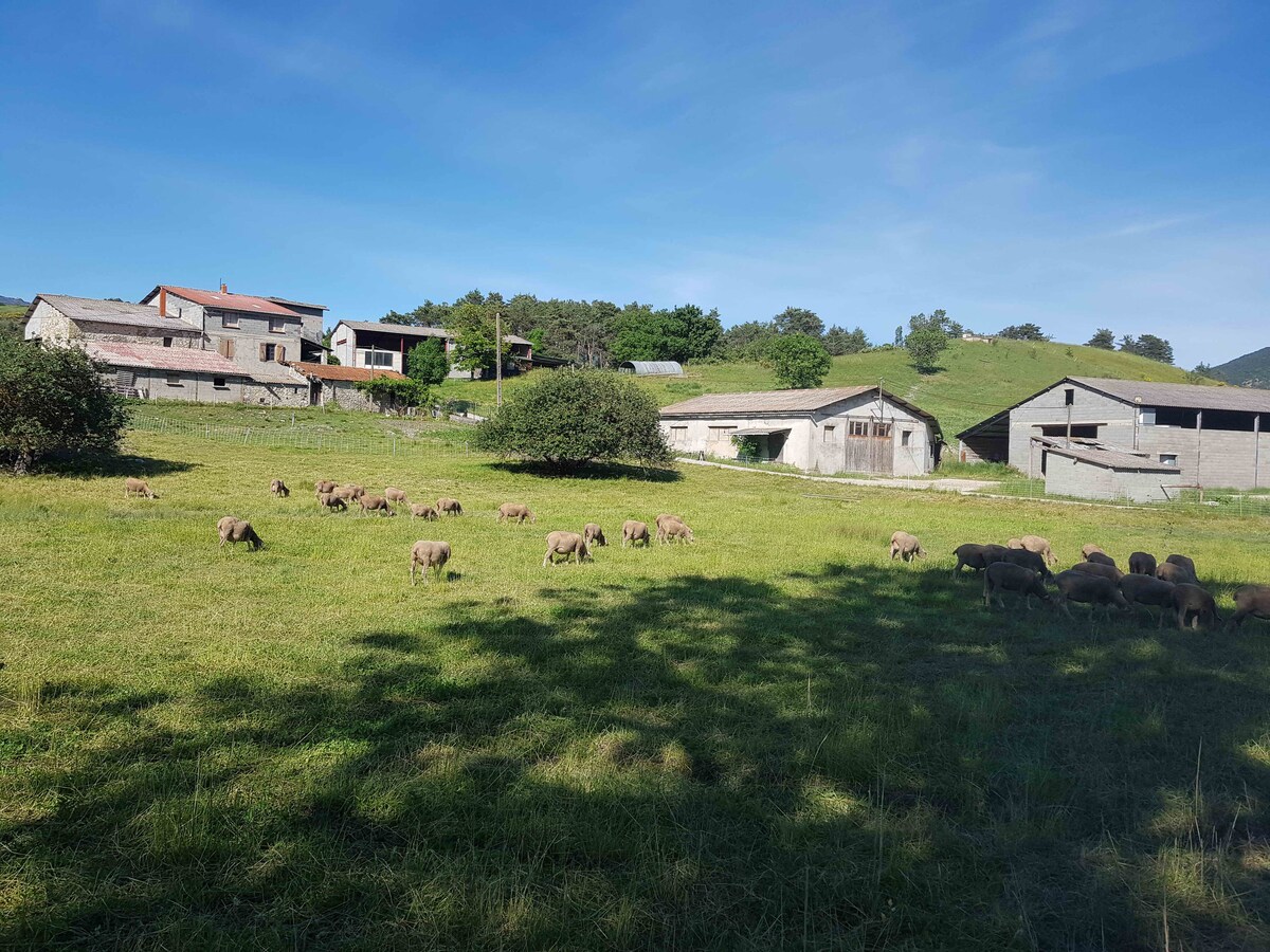 Gîte des Millets en Baronnies