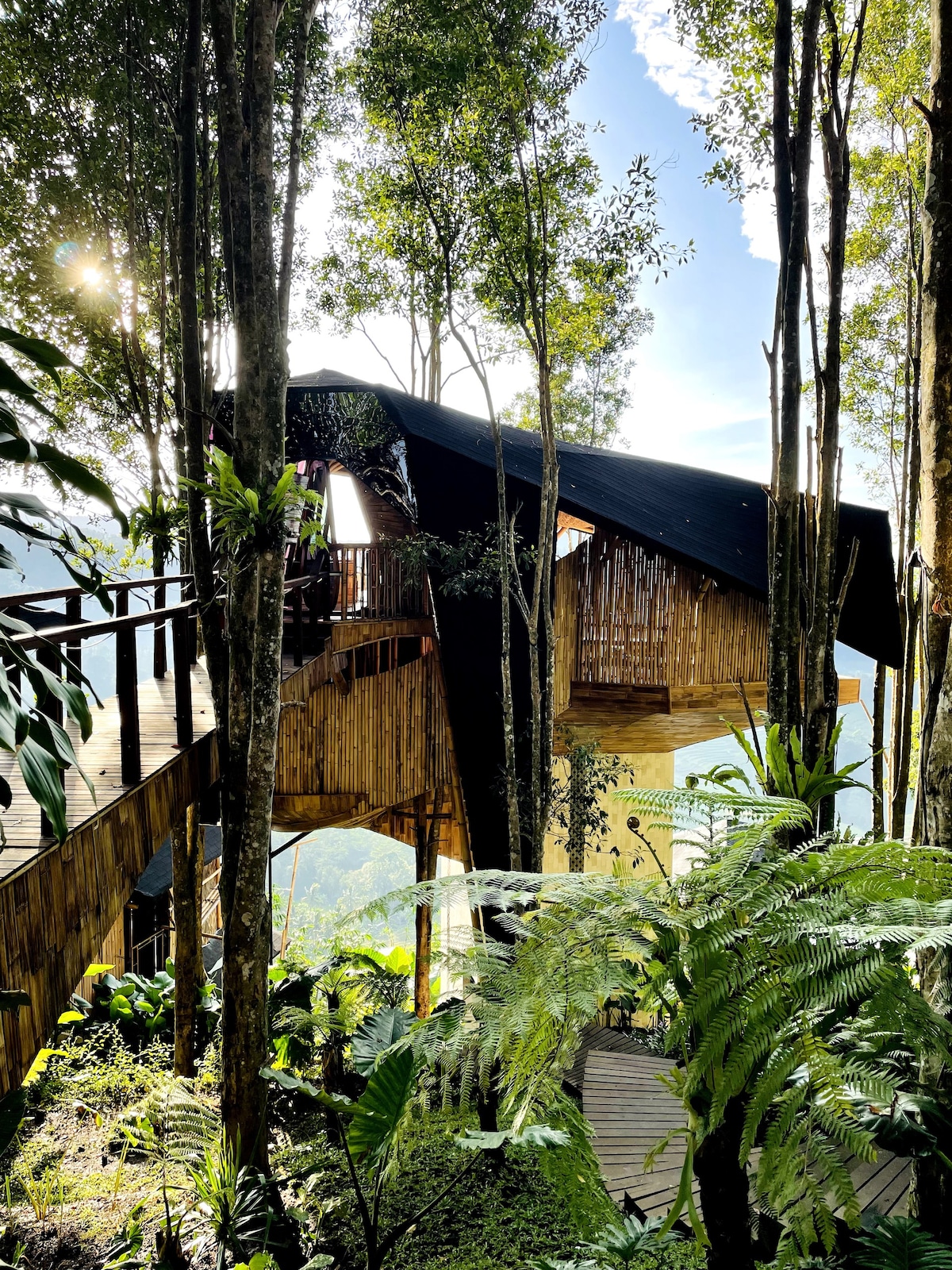 悬崖边的竹树屋-私人游泳池和景观