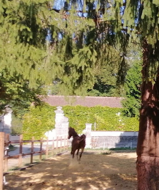 完全变换风景