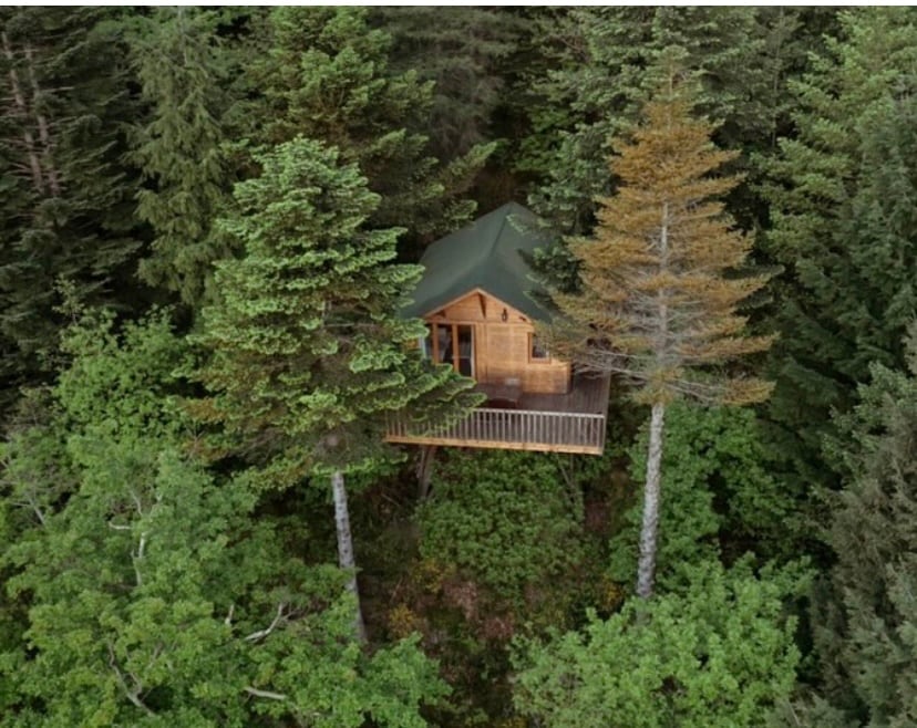 Cabane au milieu de la forêt