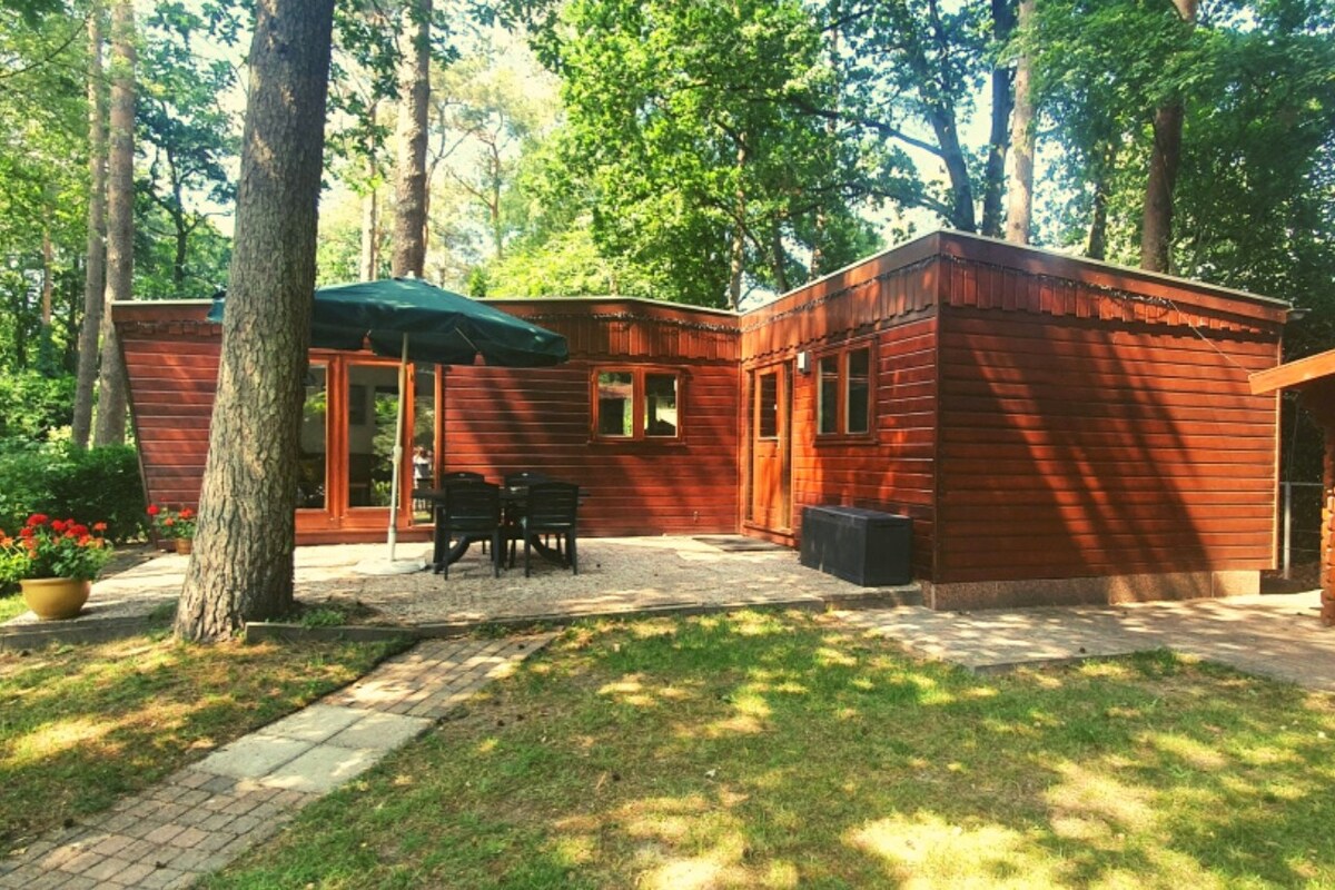 Wooden Nature Chalet - Dennenrhode Doornspijk