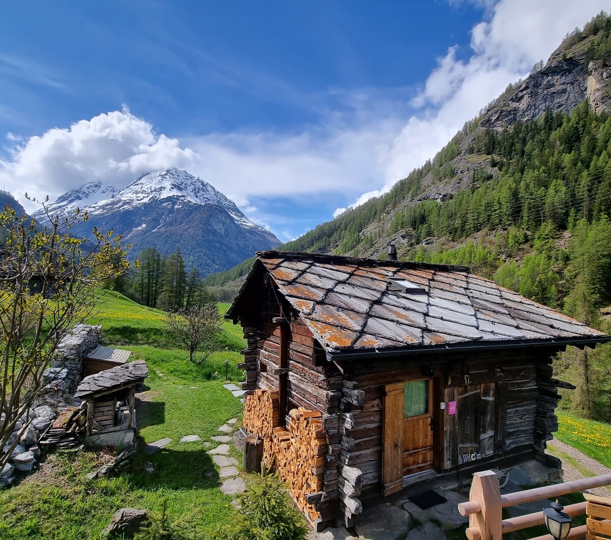 Le Crocoduche, Chalet coup de coeur