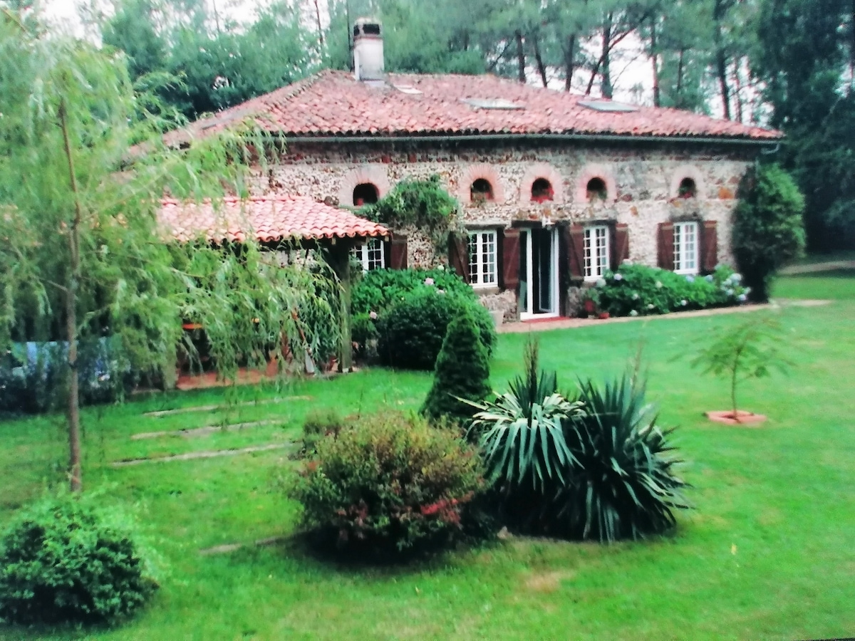 Séjour de charme au cœur de la forêt d'Arjuzanx