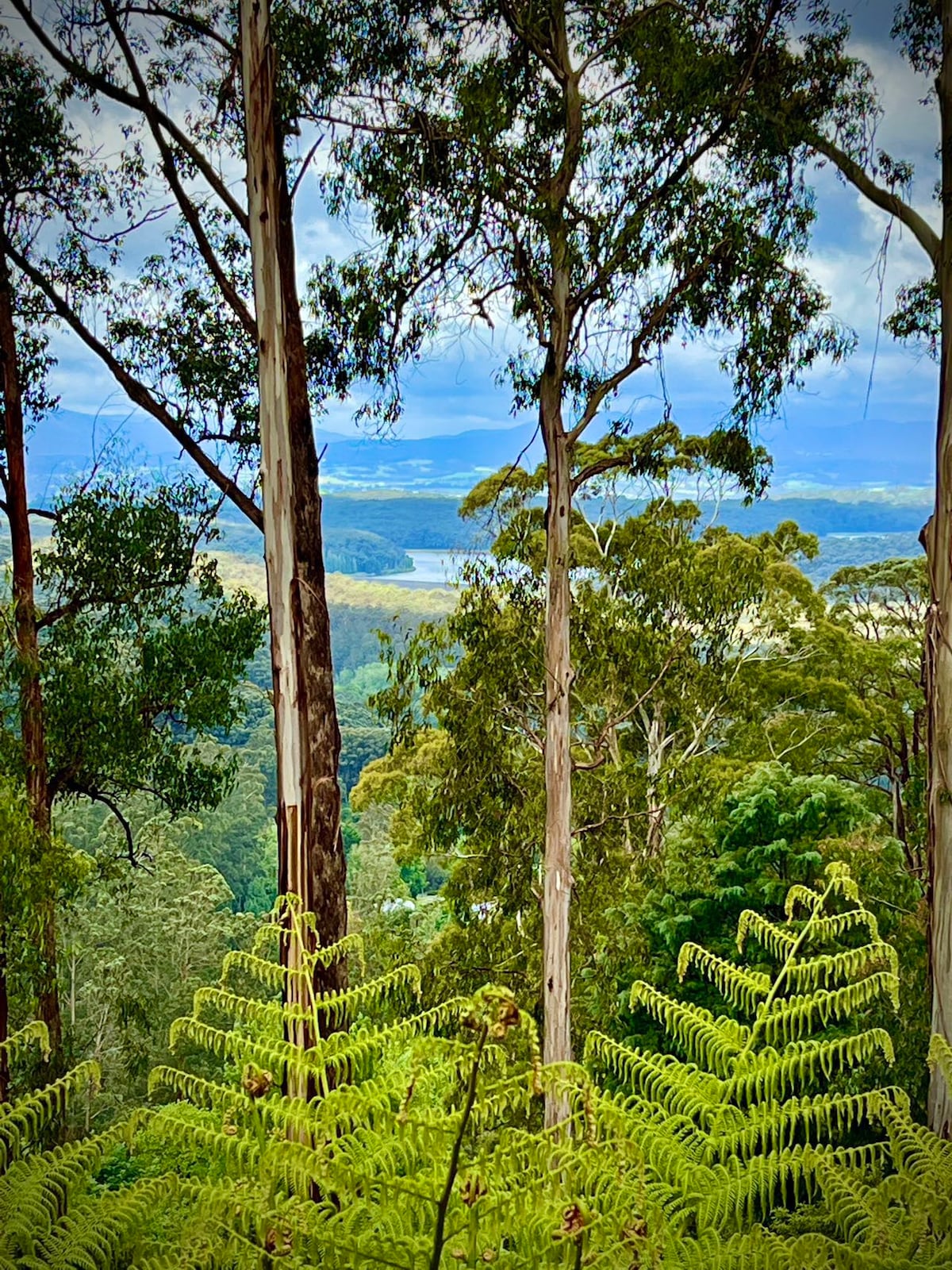 澳大利亚Dandenong Ranges Melbourne Topview Villa Dandenong Ranges