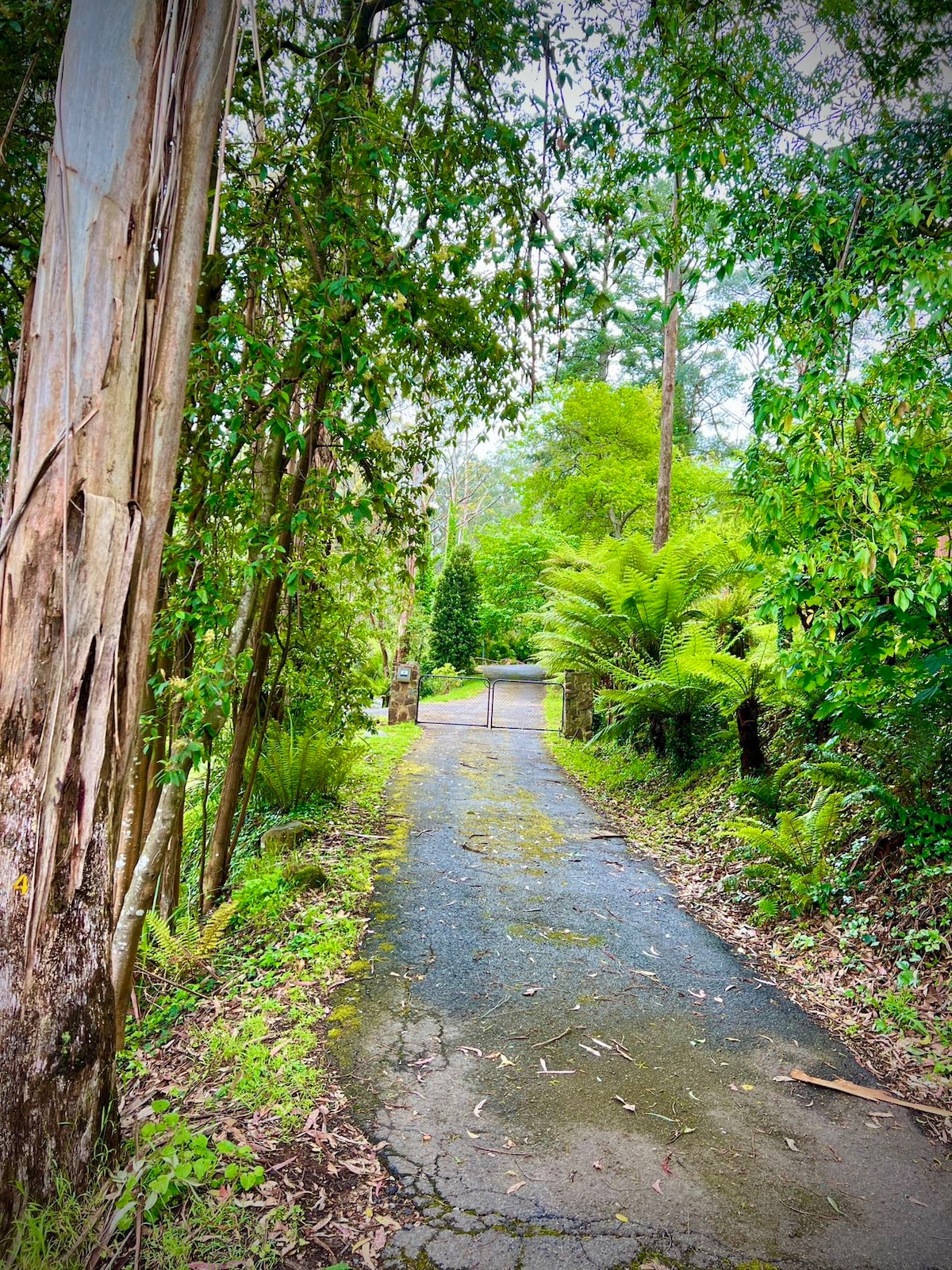 澳大利亚Dandenong Ranges Melbourne Topview Villa Dandenong Ranges