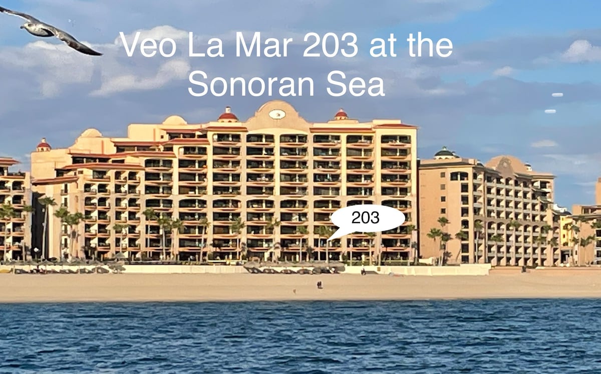 Sonoran Sea Resort Oceanfront E203