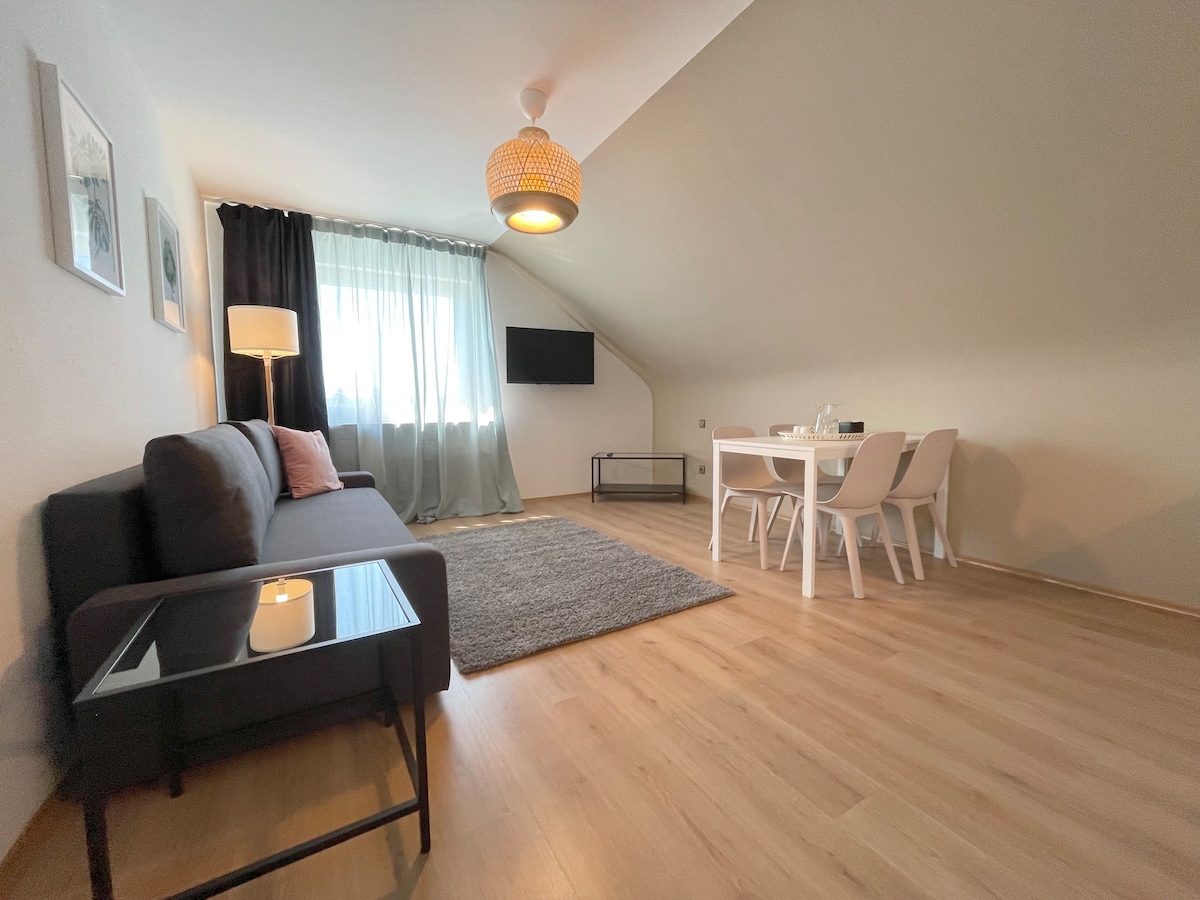 Cityapartment SB Am Homburg （ 3.等）