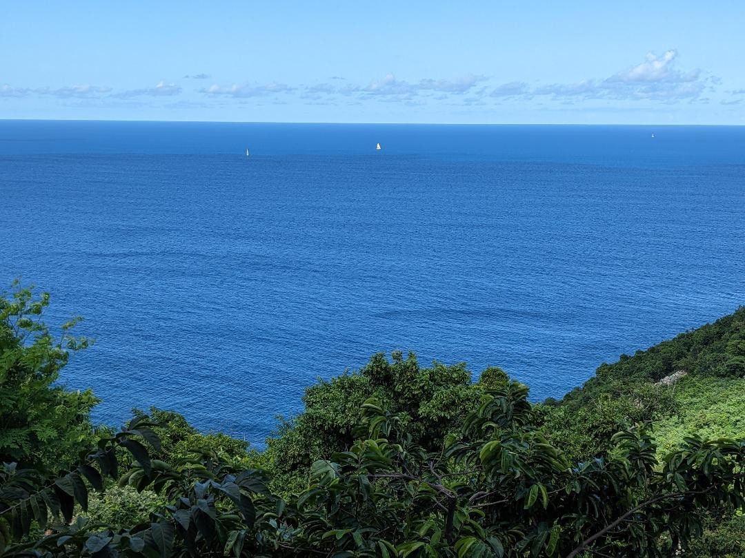 Shark Bay Views