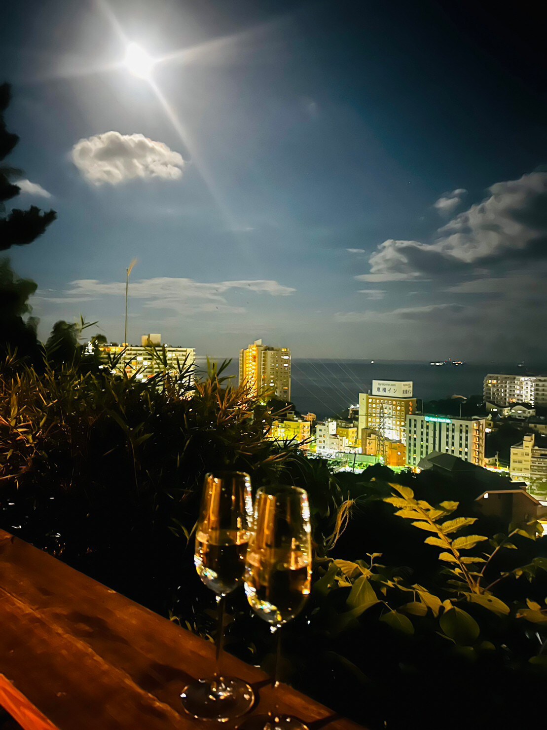 熱海桃山邸　Atami terrace villa 〜Sauna & Onsen 〜