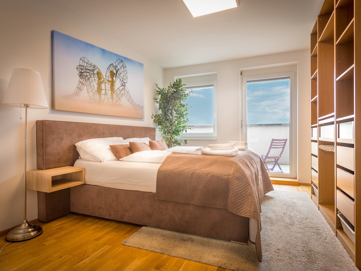SKY9双卧室顶层公寓，带露台和景观