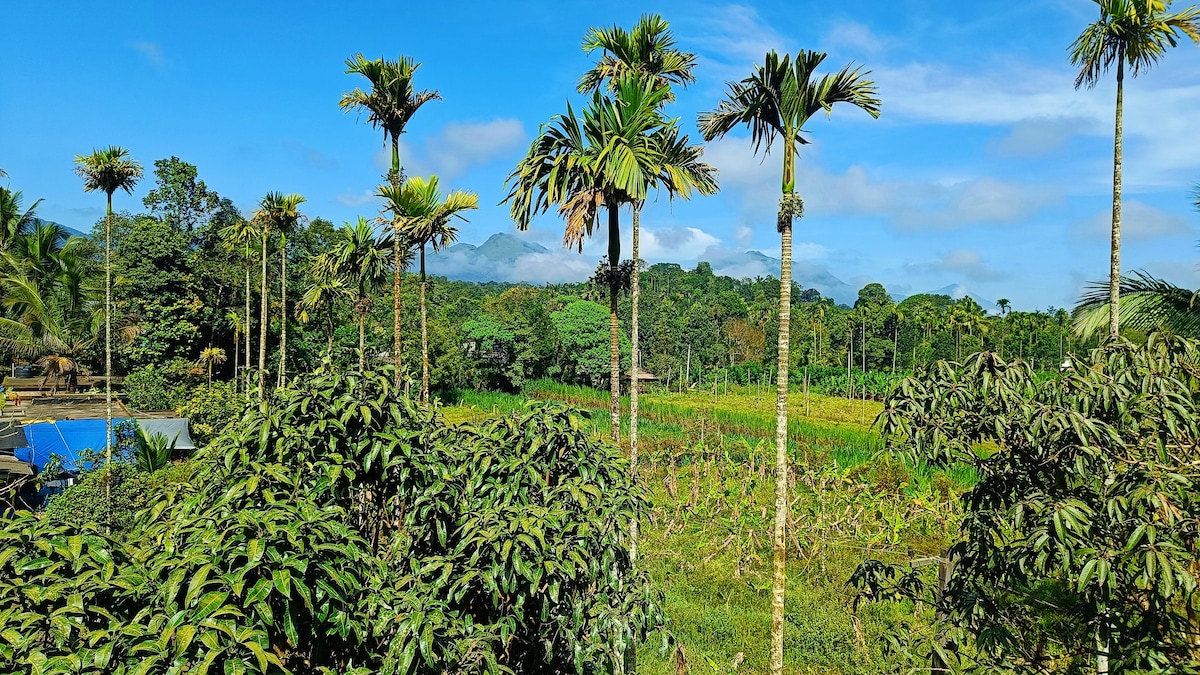 A greener corner of the earth. Offering best views