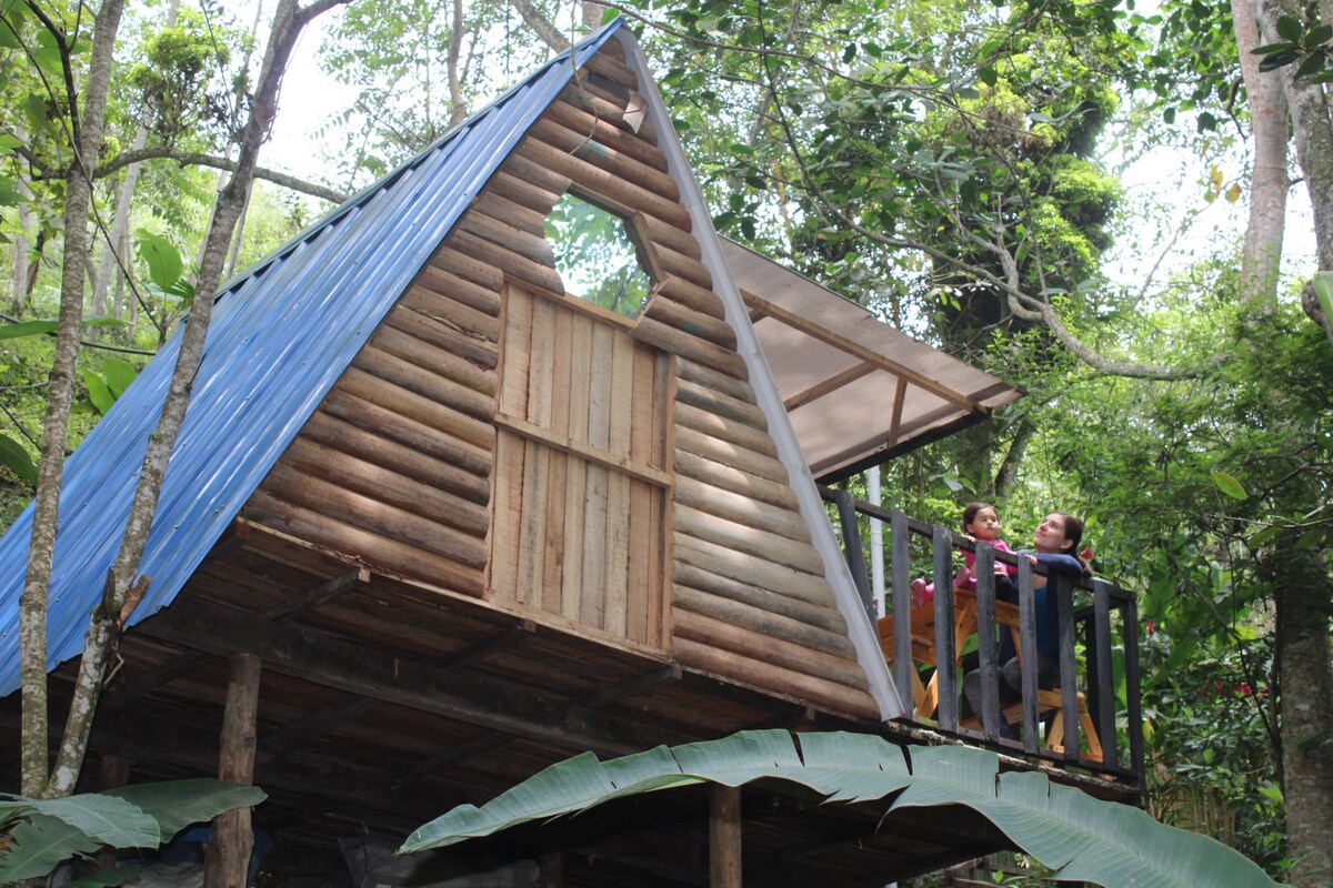 Cabaña Azul en medio de la montaña