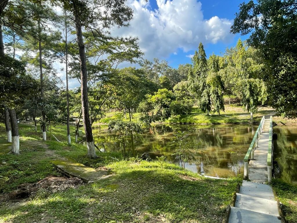 Casa de campo  Entre Pinos con vista espectacular