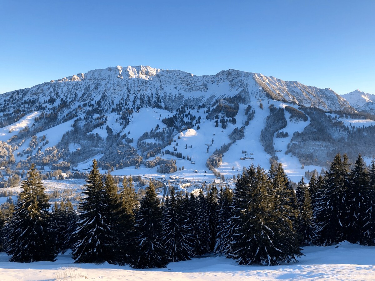 Mountain Lodge in Oberjoch