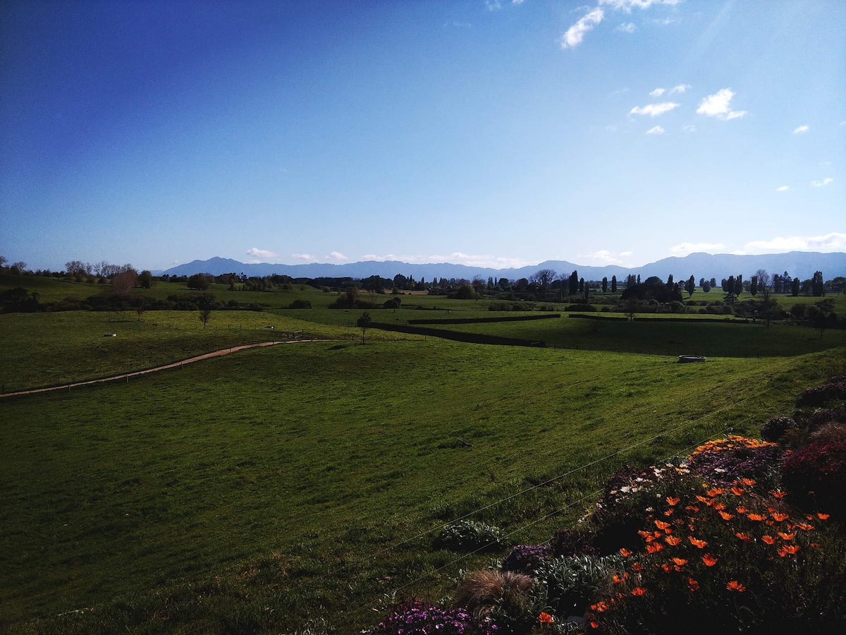 马塔马塔（ Matamata ）乡村星光谷