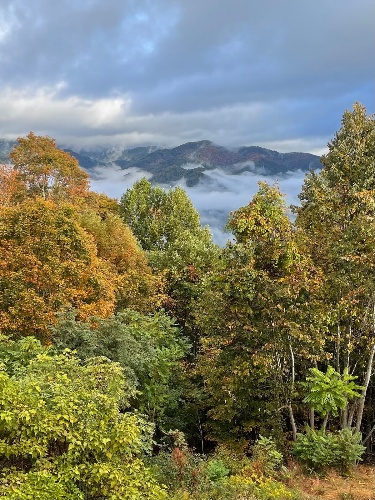 Amazing Mountain Views Secluded Hot Tub/Fire Pit