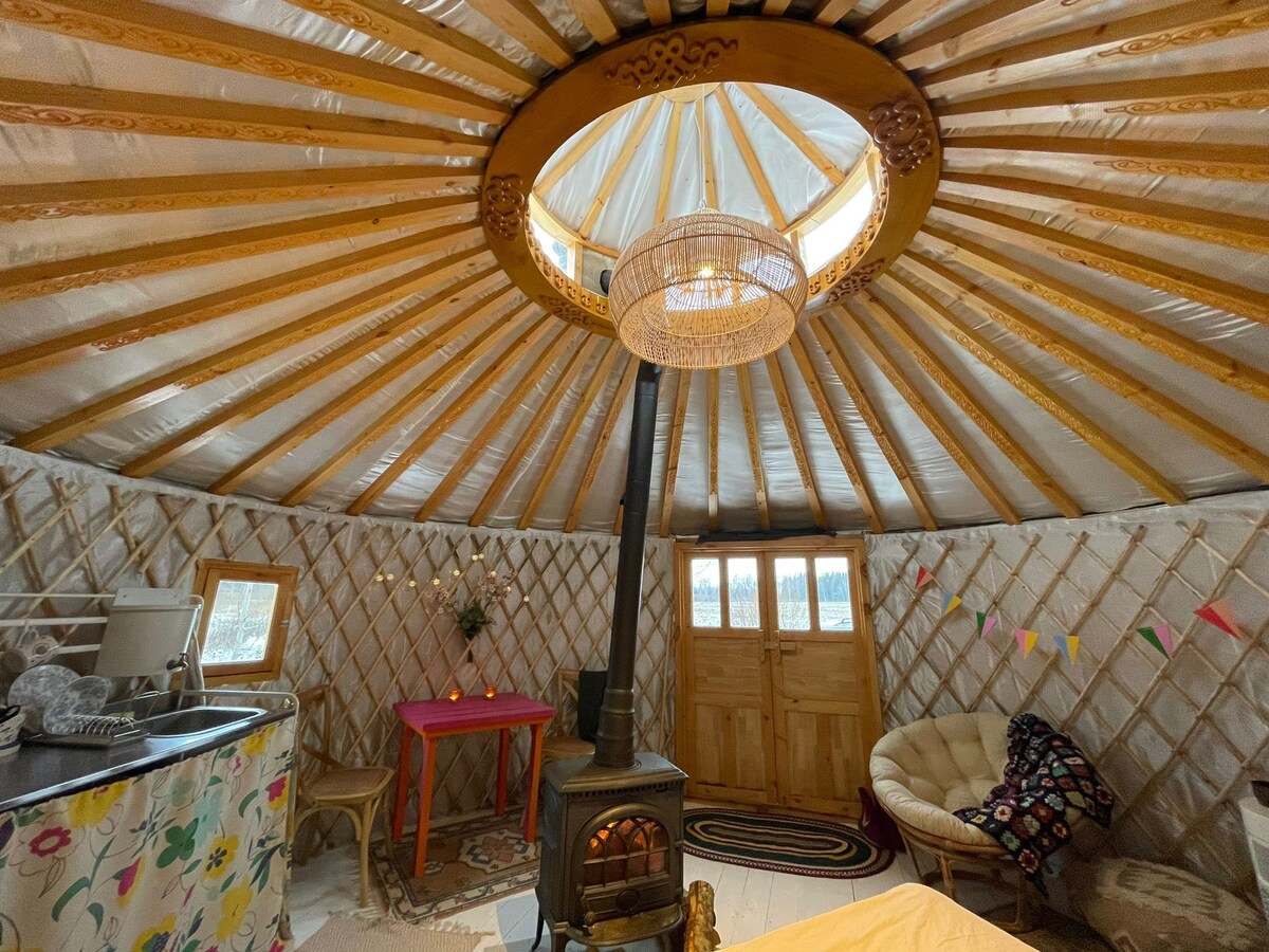 Exotic Yurt in nature