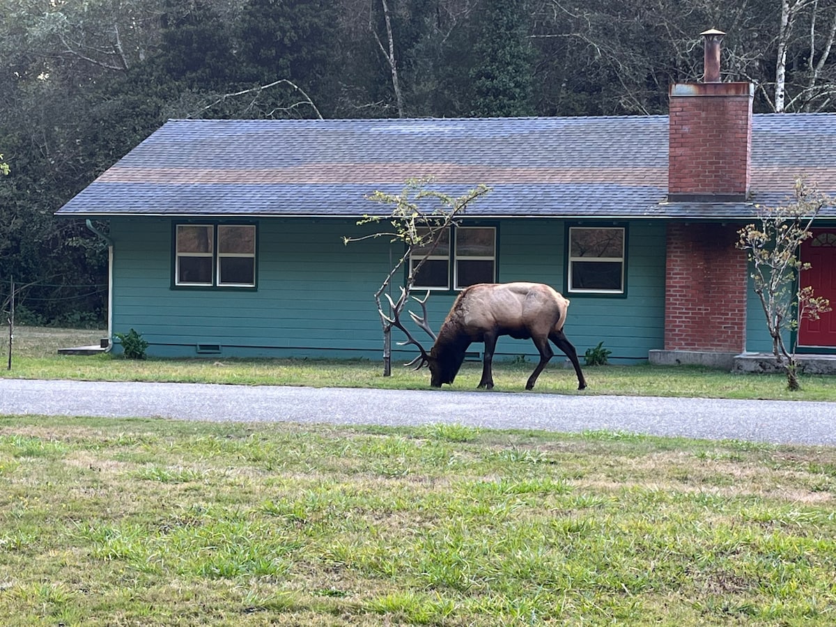 Heart of the Redwoods-HOP (E) Cottage