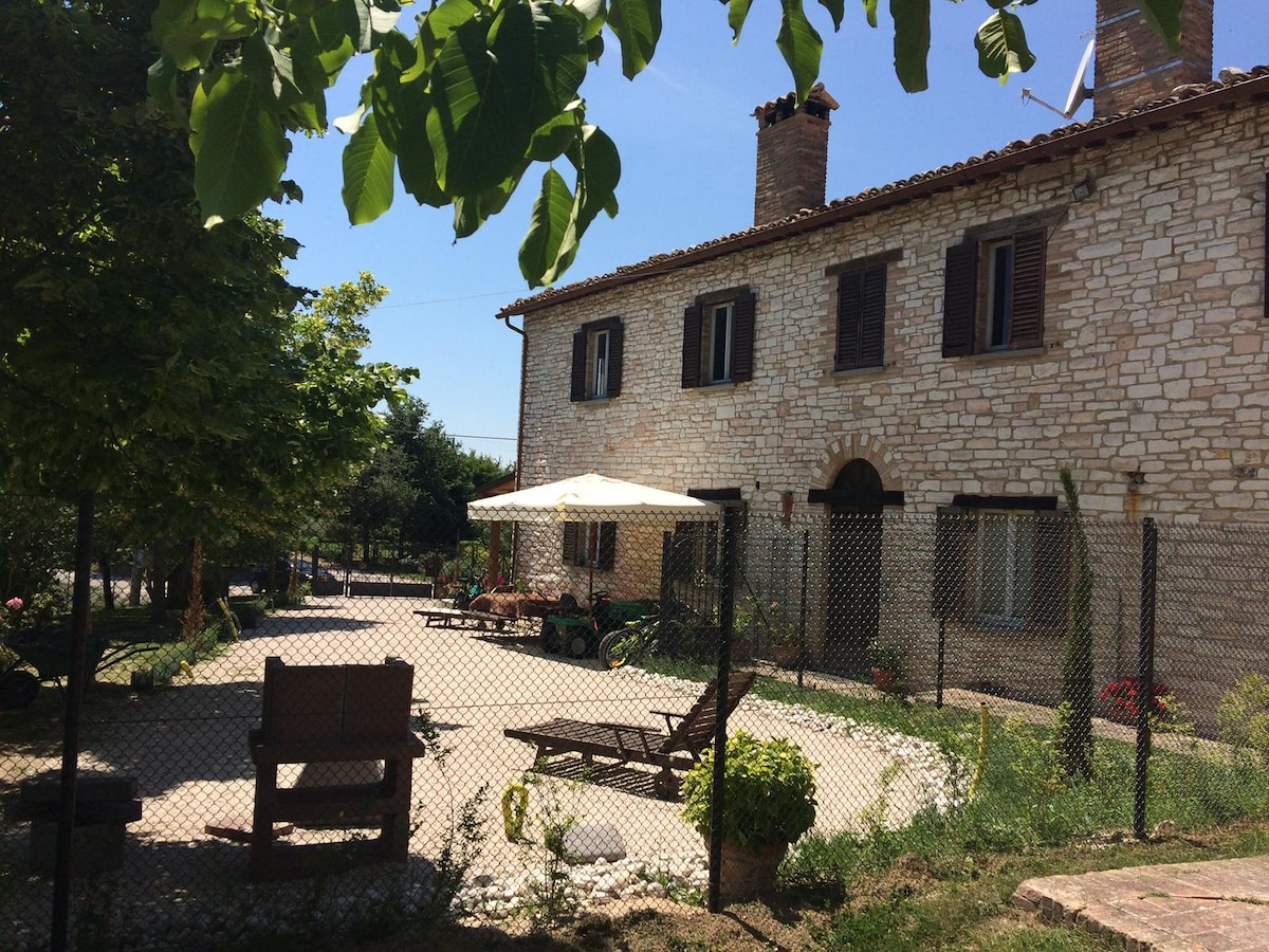 Casa dei Valli-Ducato di Urbino