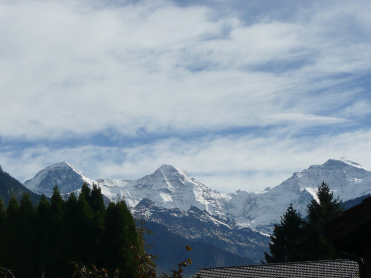 瑞士传统度假木屋，高山山景