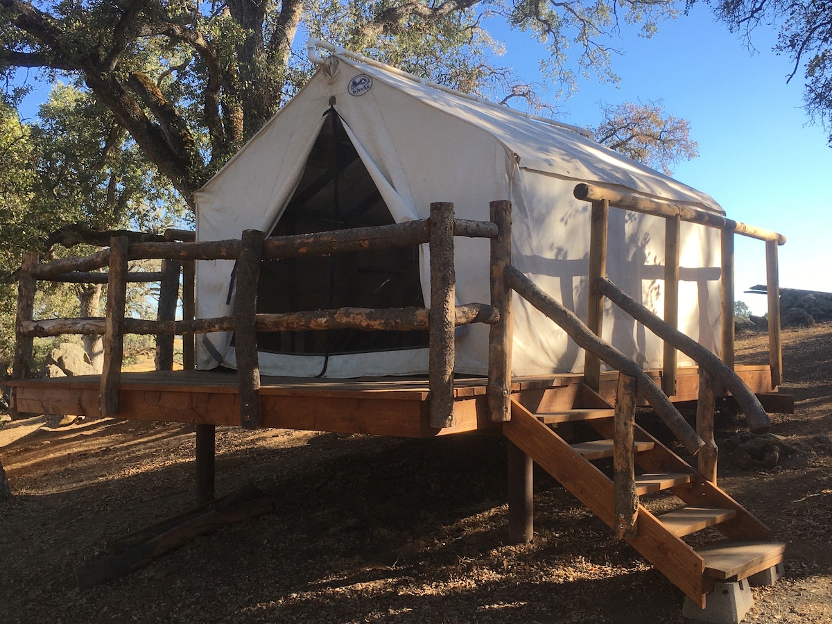 Bauhr's Guest Ranch Cabin #2