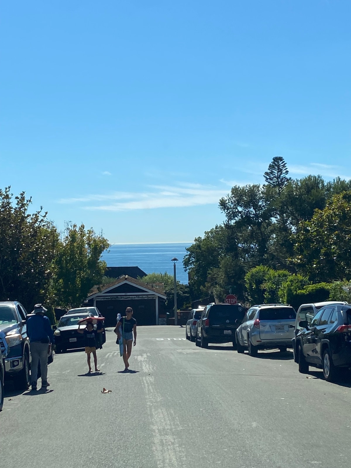 豪华拉古纳海滩别墅（ Laguna Beach House ） ，距离沙滩仅几步之遥！