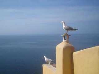 Appartement triplex exceptionnel, terrasse vue mer