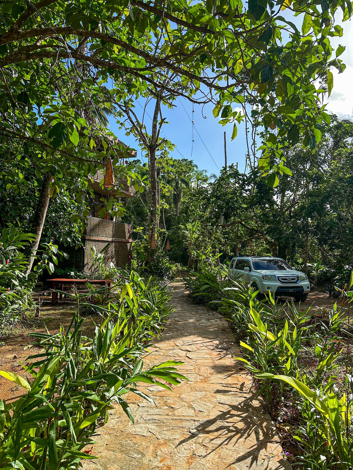 Habitación Taino Jungle  Loft 1