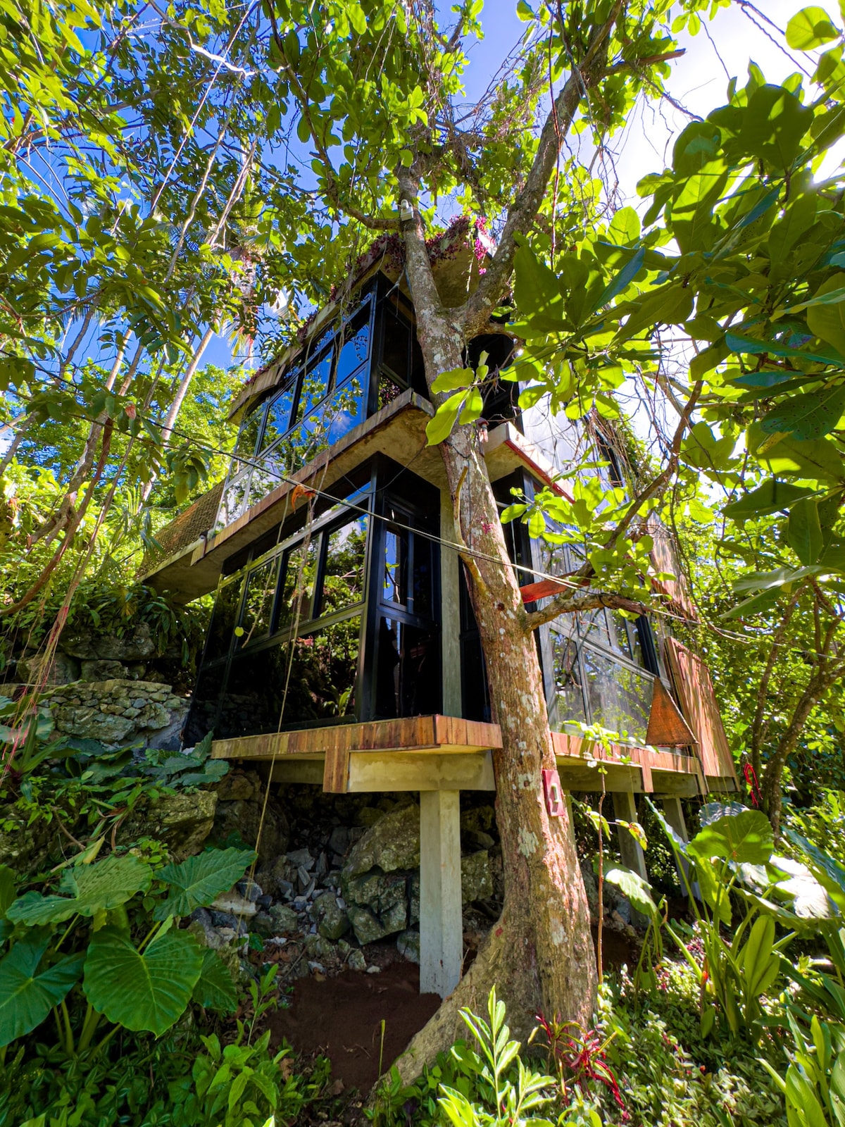 Habitación Taino Jungle  Loft 1