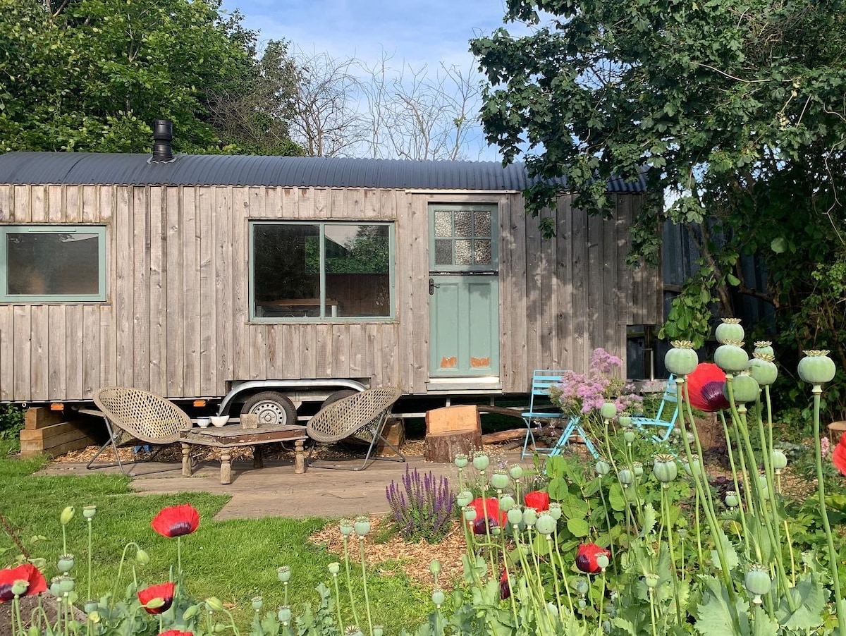 Tiny Home Fens - Cambridgeshire retreat
