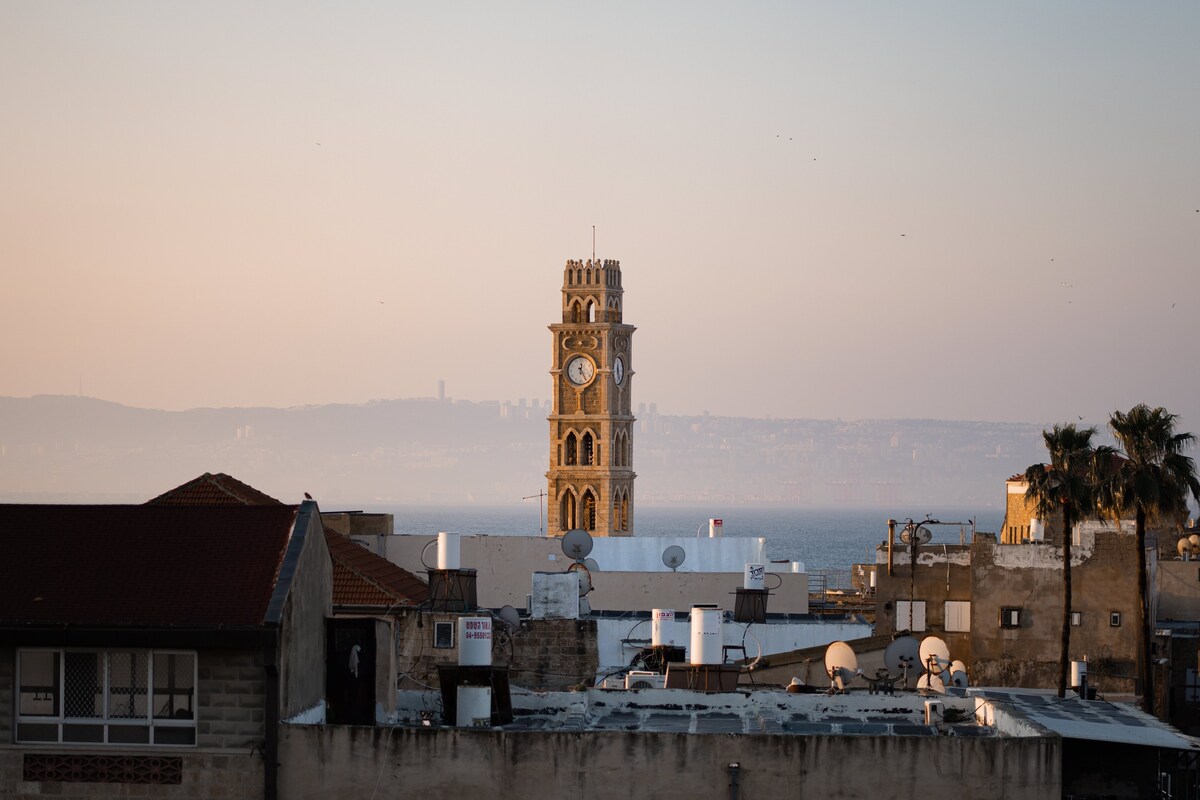 Villa Sera - an ancient villa in Old Acre