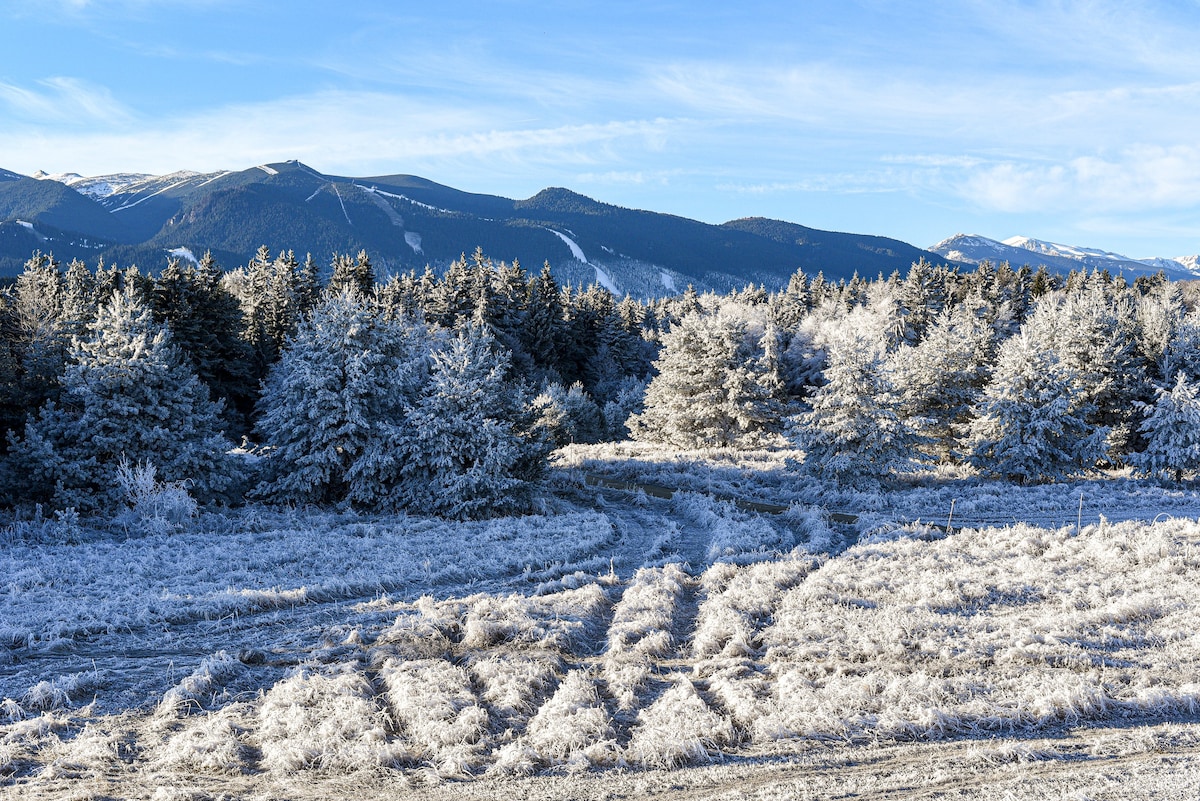 Kozel度假木屋、滑雪和水疗、Borovets