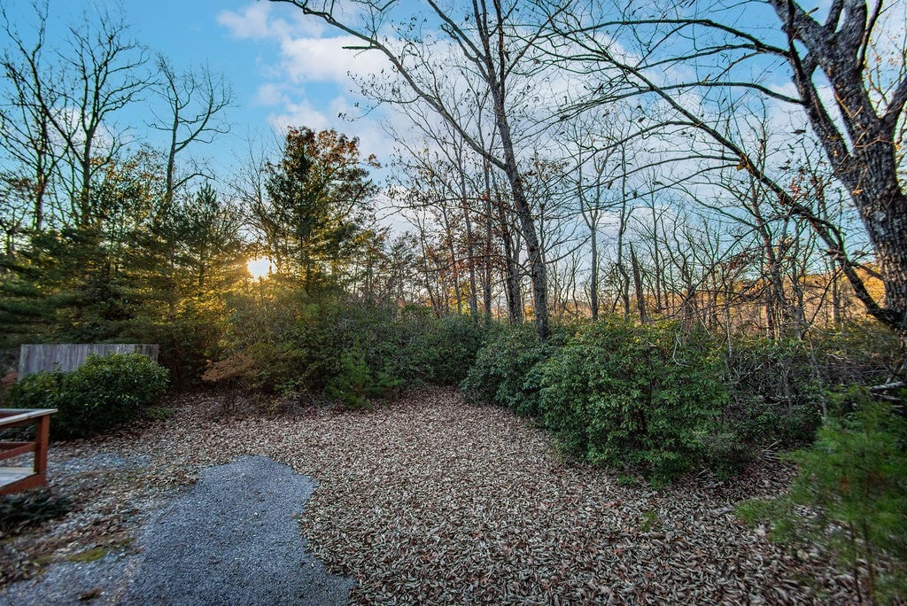 Bird Mountain Hideaway