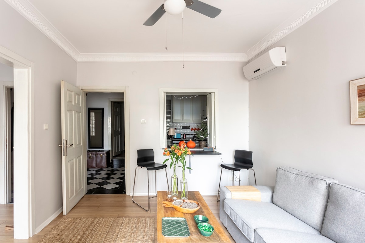 Fully renovated 1 BR Apt. in Beyoglu